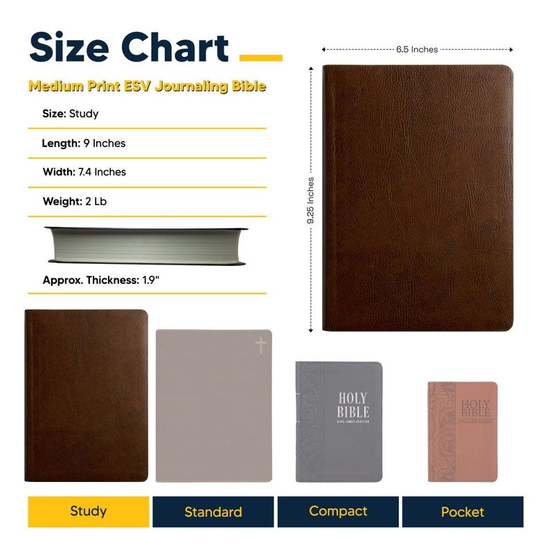 ESV Brown Study Size Bonded Leather Holy Bible Large Print