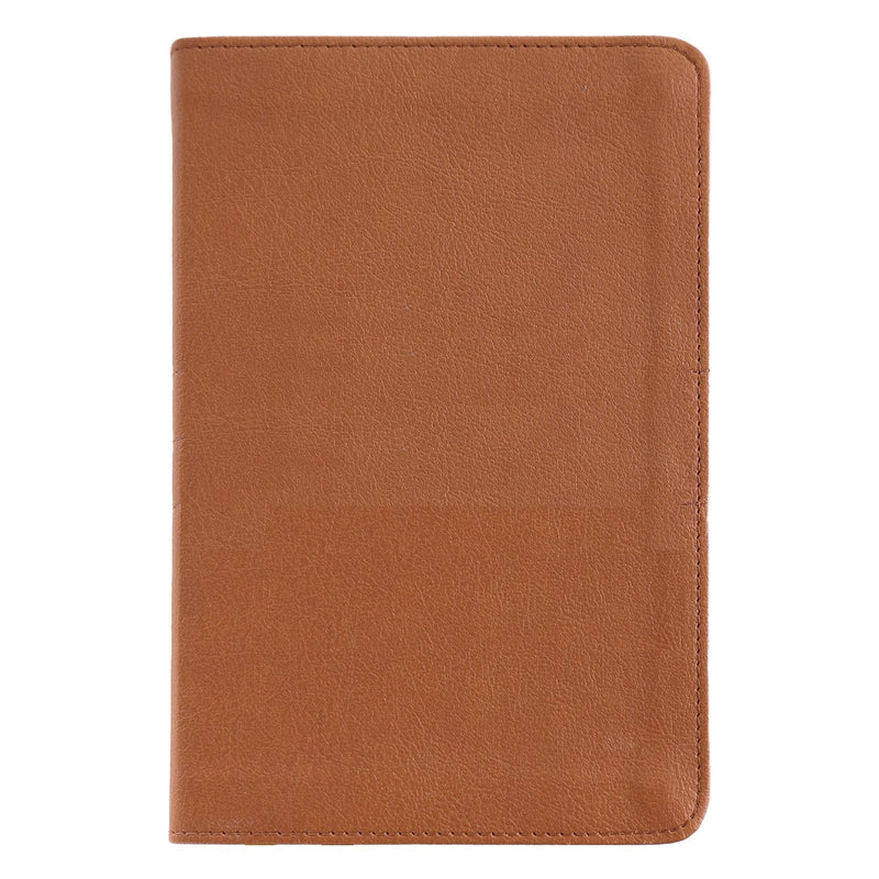 NIV Brown Compact Size Thinline Holy Bible Small Print