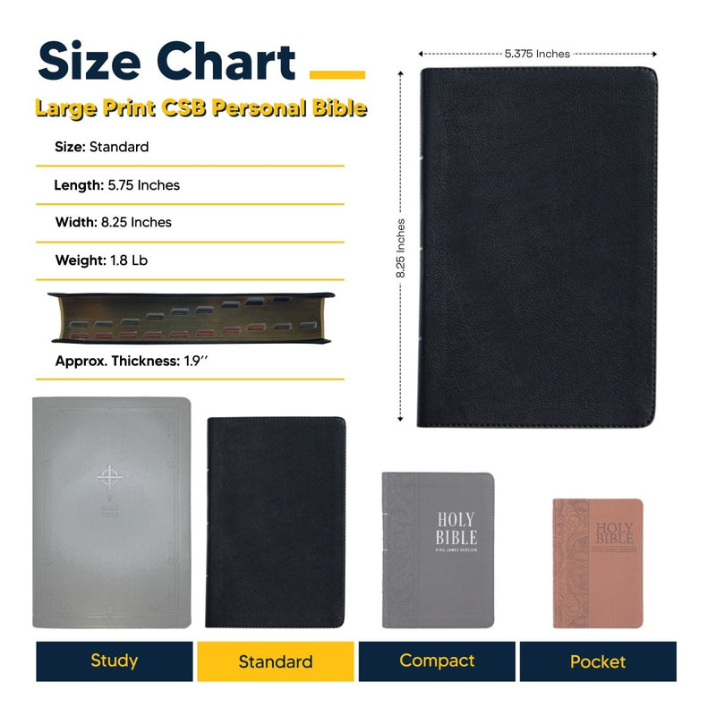 CSB Black Standard Size Christian Standard Holy Bible Large Print