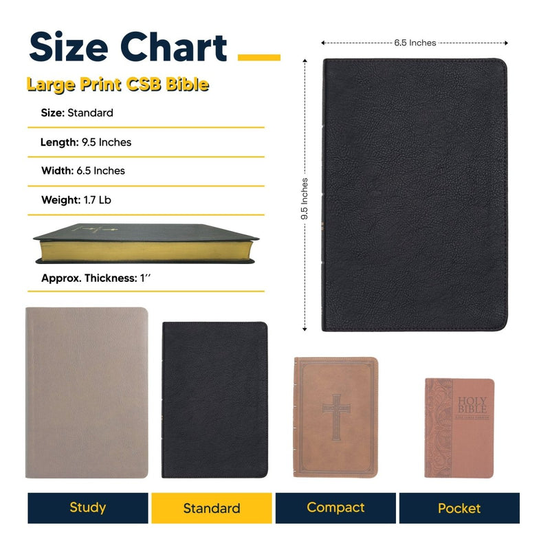 CSB Black Standard Size Holy Bible Large Print