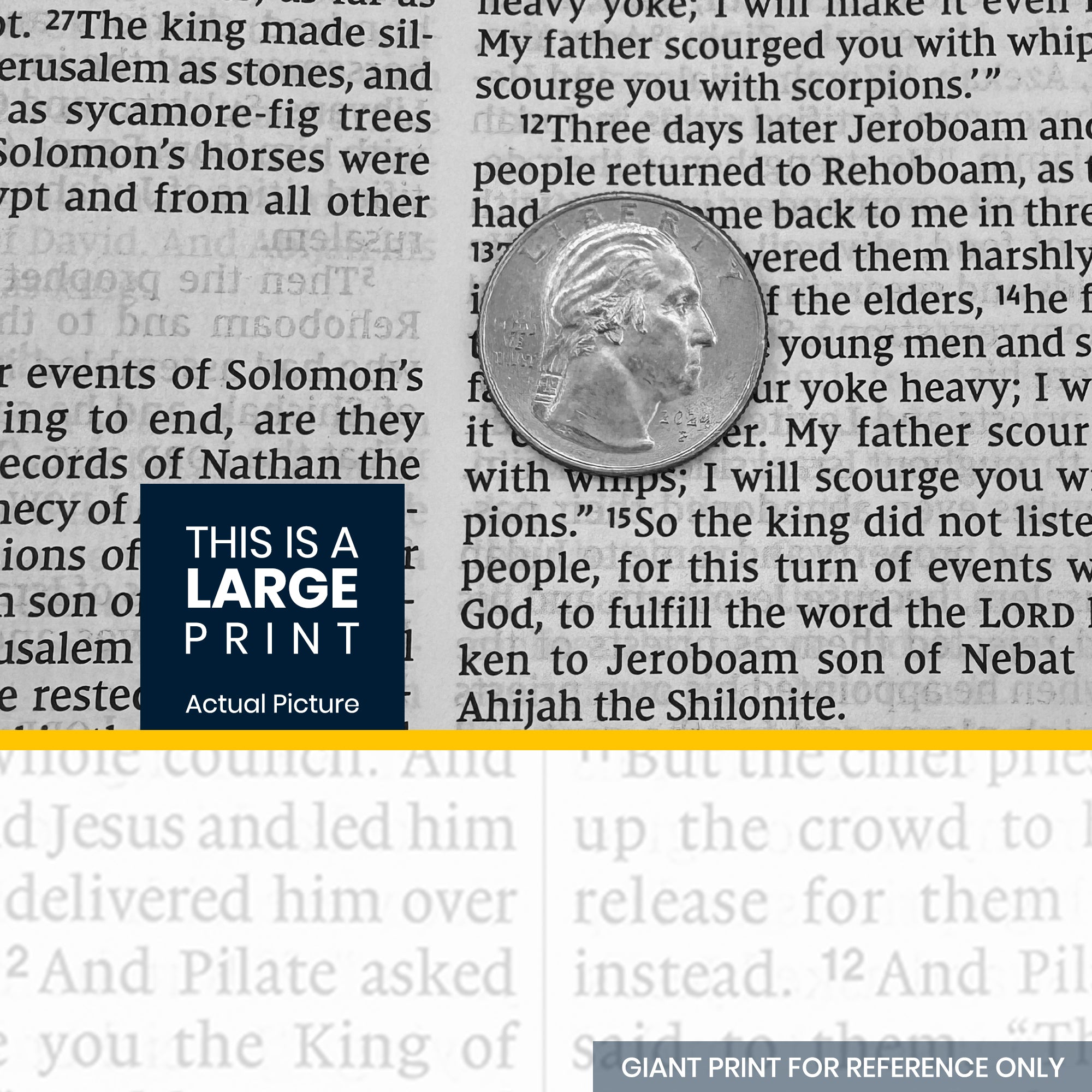 NIV Brown Standard Size Thinline Holy Bible Large Print Value Edition - Explainer Image