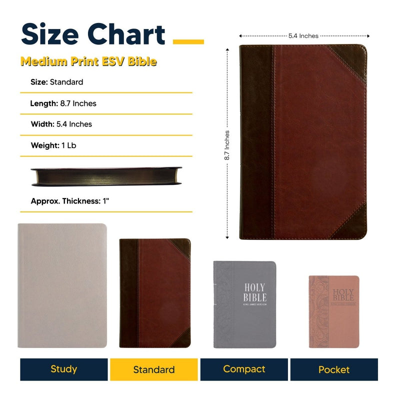 ESV Brown Standard Size Thinline Holy Bible Medium Print | Team Jesus