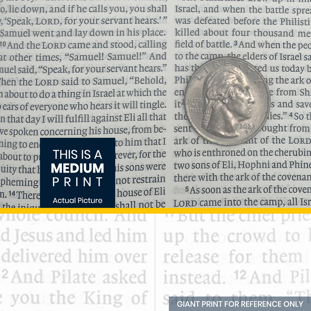 NIV Brown Standard Size Thinline Holy Bible Medium Print - Explainer Image