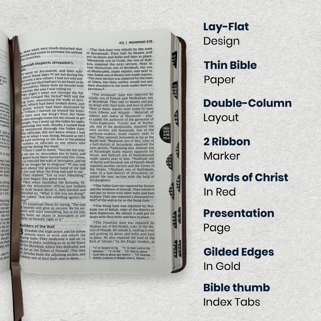 NIV Brown Standard Size Thinline Holy Bible Medium Print - Lifestyle Image 1