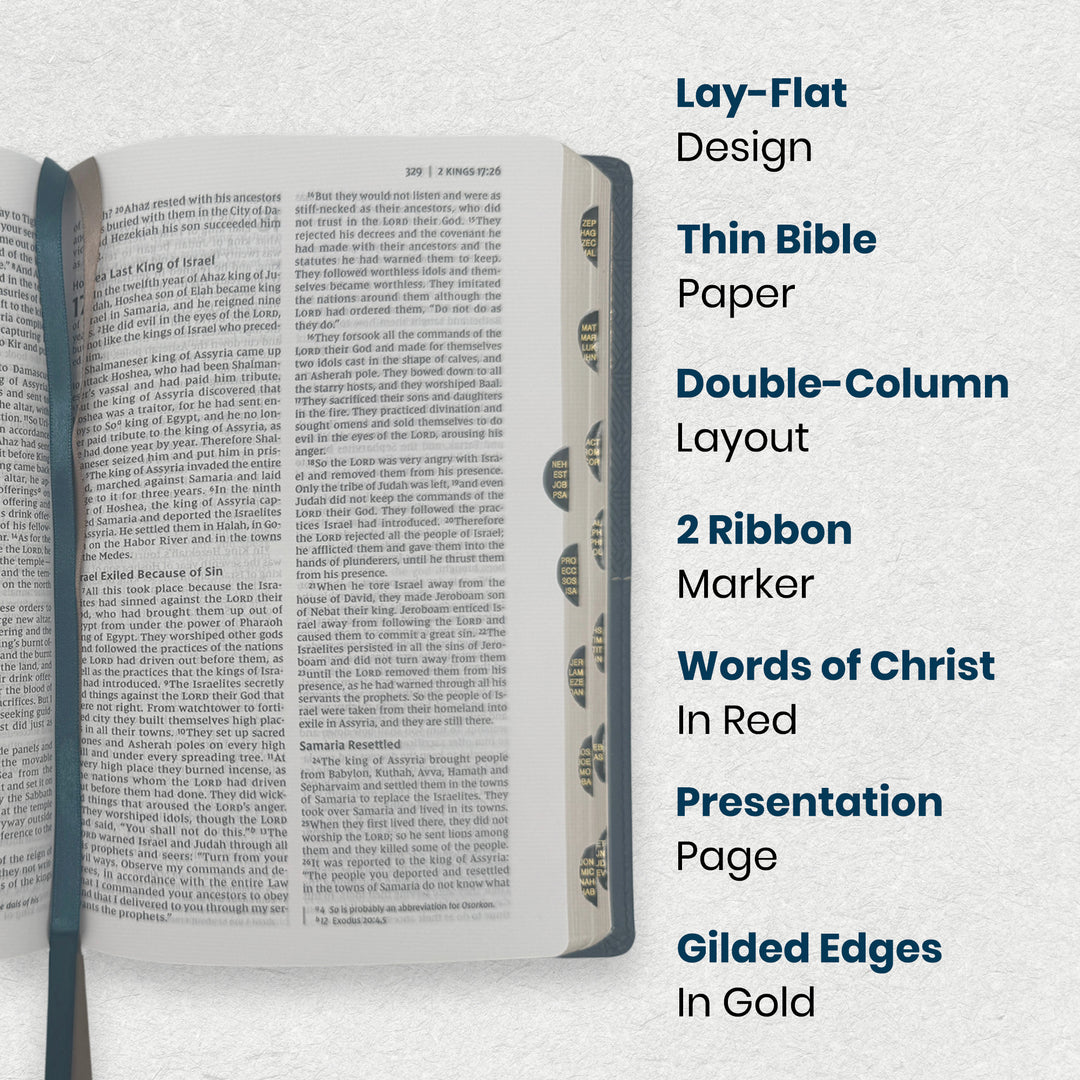 NIV Teal Standard Size Thinline Holy Bible Medium Print - Lifestyle Image 1