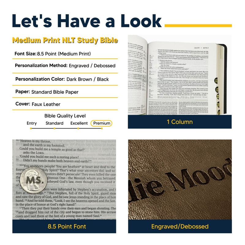 NLT Brown Standard Size Holy Bible Medium Print | Be the Light