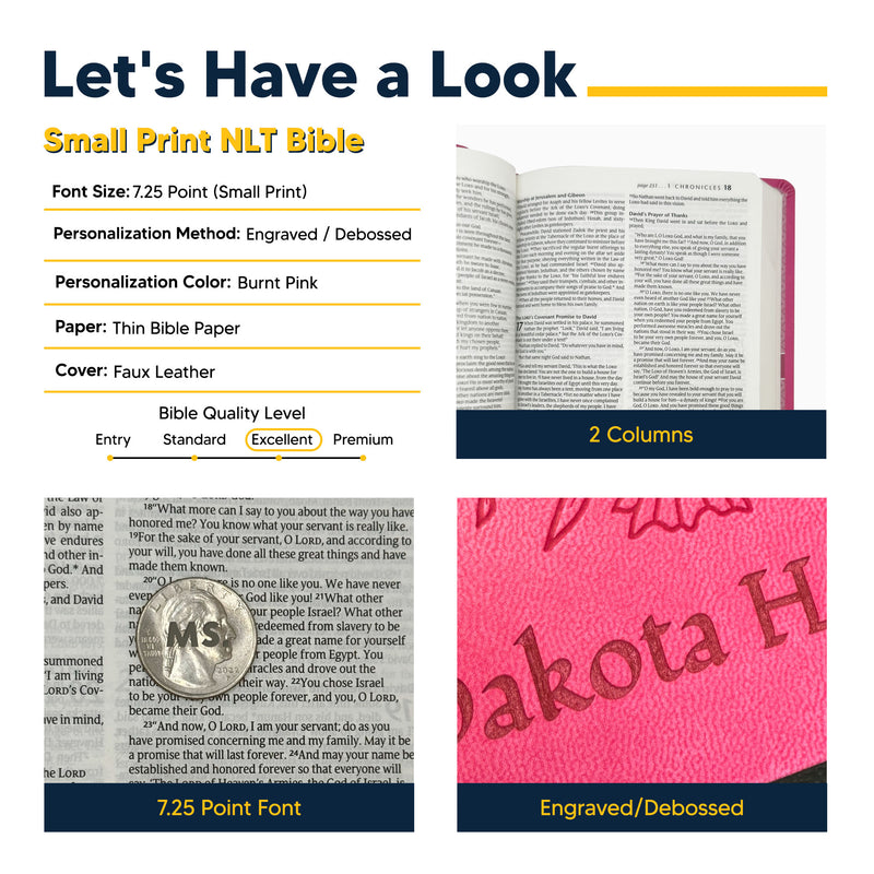 NLT Pink Standard Size Holy Bible Medium Print | Vine