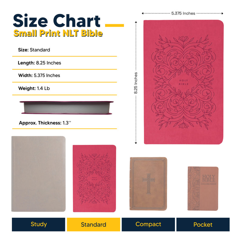 NLT Pink Standard Size Holy Bible Medium Print | Vine