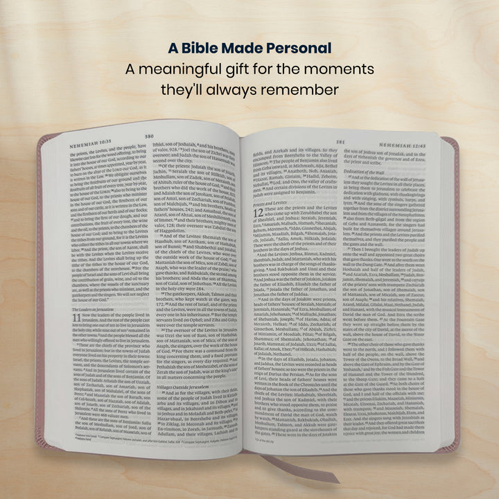 ESV Pink Standard Size Premium Holy Bible Small Print