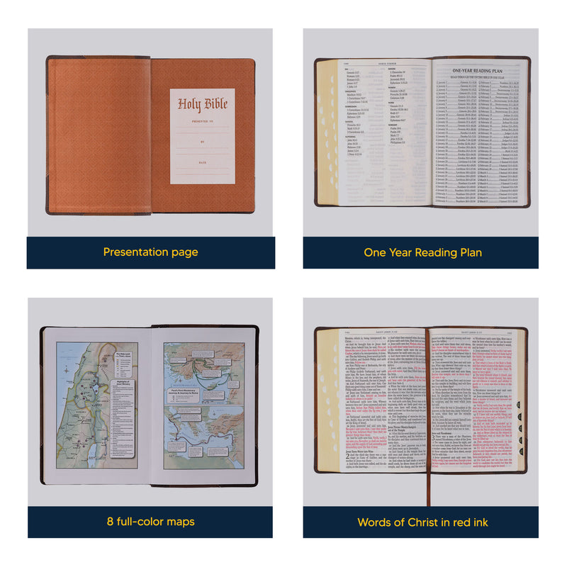 KJV Brown Study Size Holy Bible Giant Print