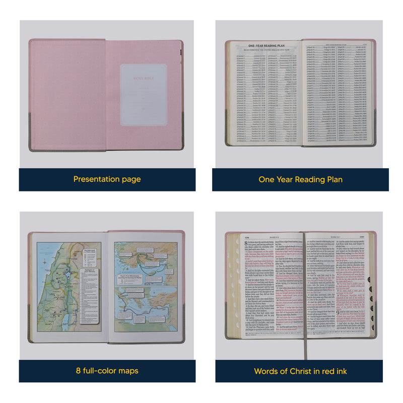 KJV Pink Gray Study Size Holy Bible Giant Print