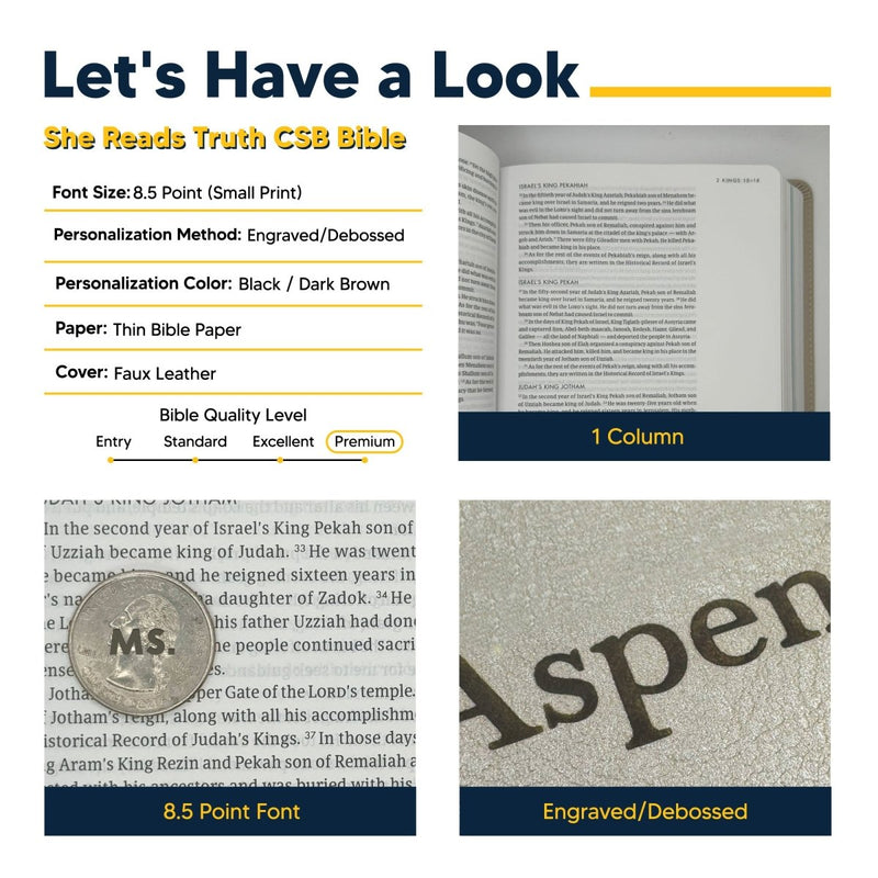 CSB She Reads Champagne Study Size Holy Bible Medium Print