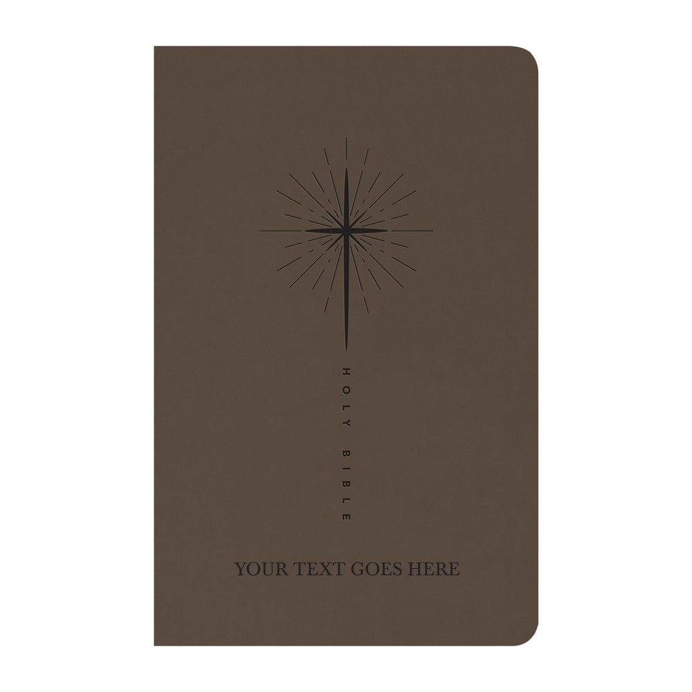 NLT Taupe Standard Size Trutone Holy Bible Small Print