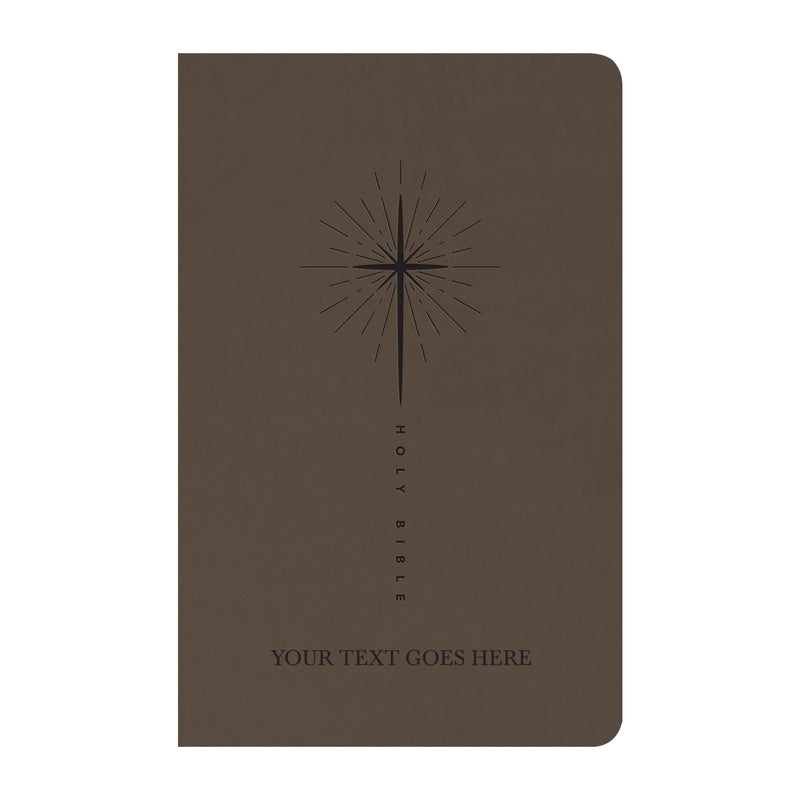 NLT Taupe Standard Size Trutone Holy Bible Small Print