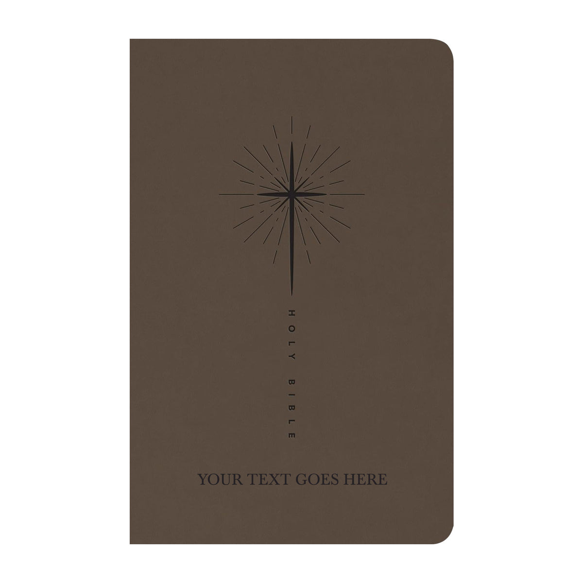 NLT Taupe Standard Size Trutone Holy Bible Small Print