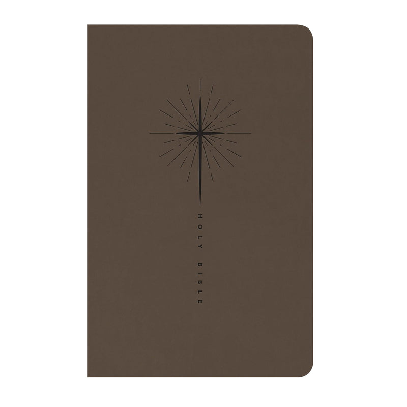 NLT Taupe Standard Size Trutone Holy Bible Small Print