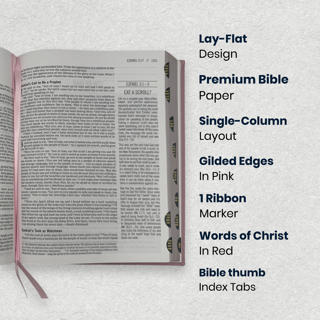 Personalize Pink NIV Hardcover The Jesus Bible Edition Comfort Print