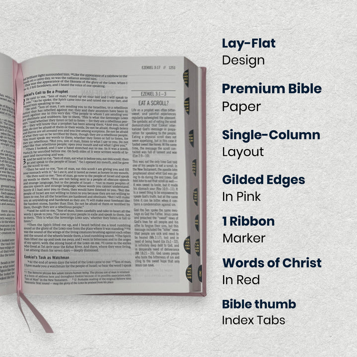 Personalize Pink NIV Hardcover The Jesus Bible Edition Comfort Print