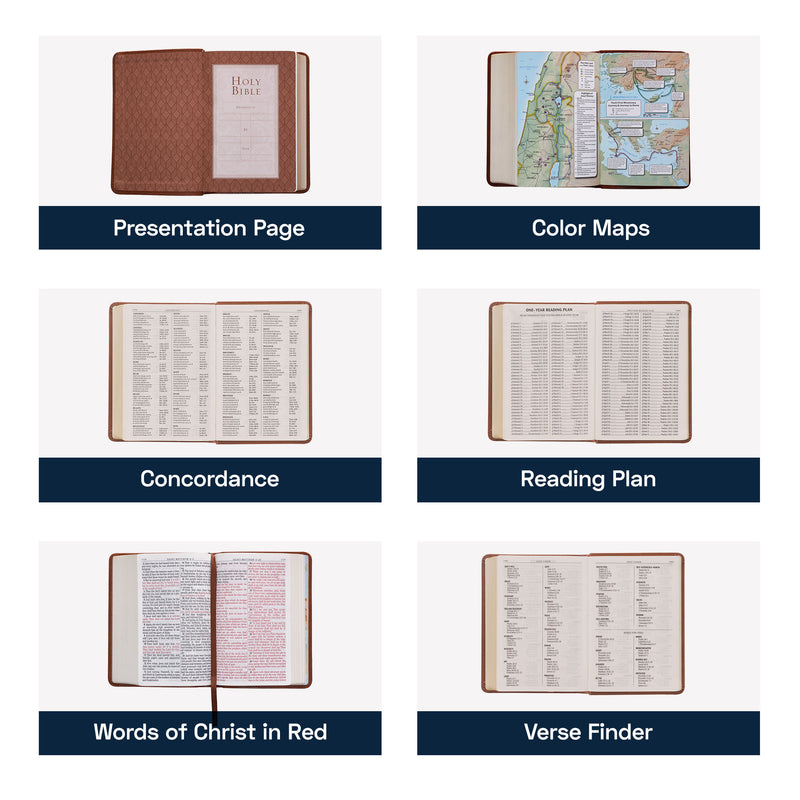 KJV Brown Compact Size Holy Bible Large Print
