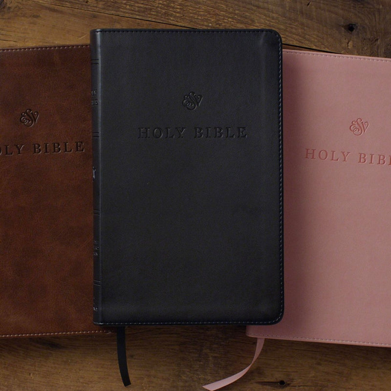ESV Black Standard Size Premium Holy Bible Small Print  | Lay Flat