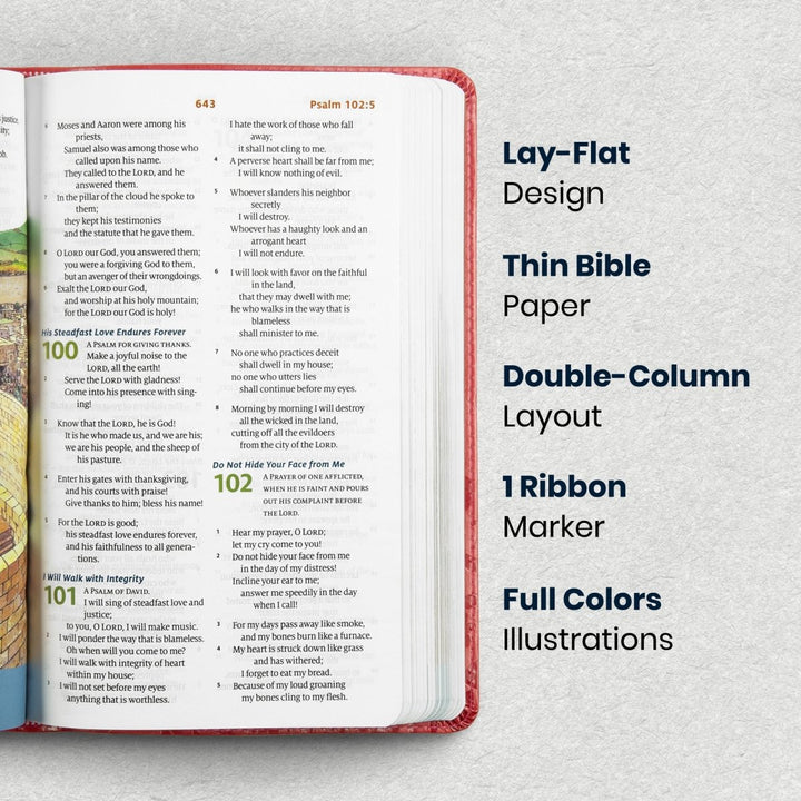 Custom Personalized Church Bible ESV Children Medium Print | Red - Shepherds Shelf