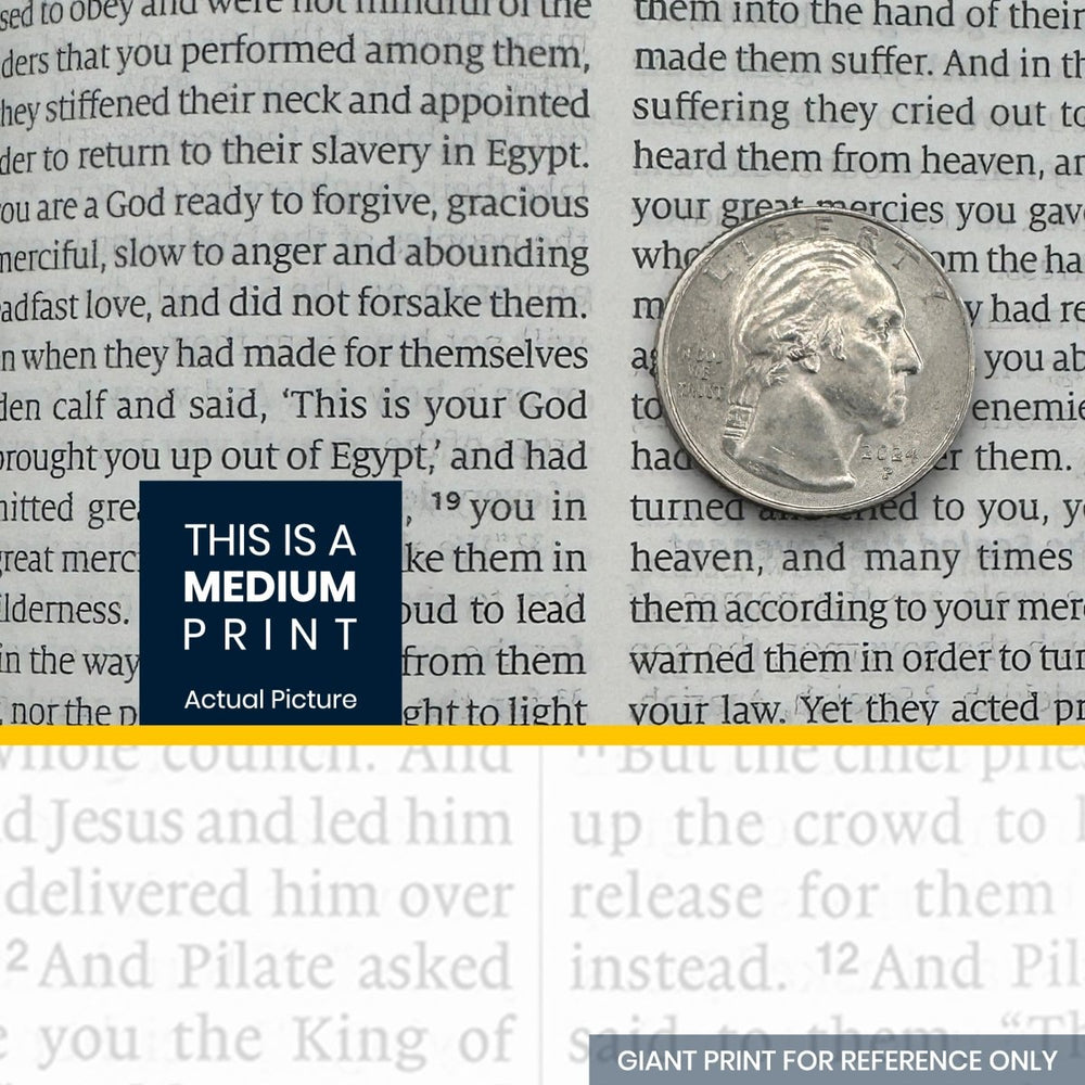 Print sample for this Bible