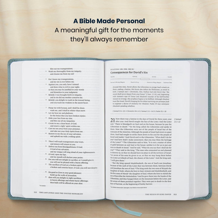 Custom Personalized Church Bible ESV Chronological Bible Medium Print | Teal - Shepherds Shelf