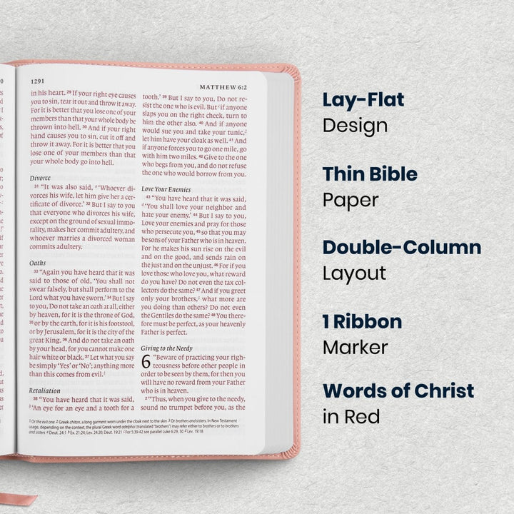 Custom Personalized Church Bible ESV Giant Print | Pink - Shepherds Shelf