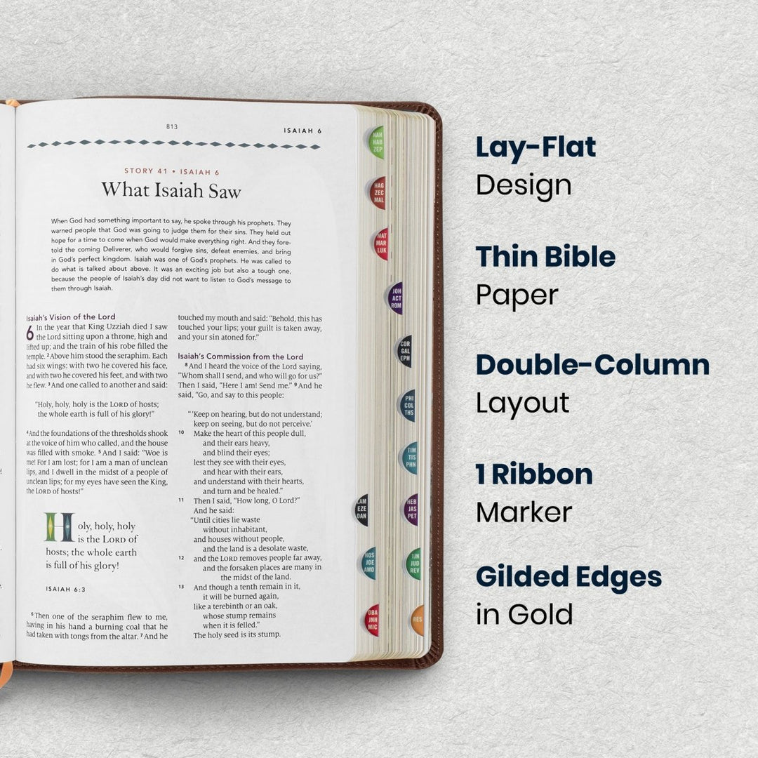 Custom Personalized Church Bible ESV The Biggest Story Bible Medium Print | Brown - Shepherds Shelf