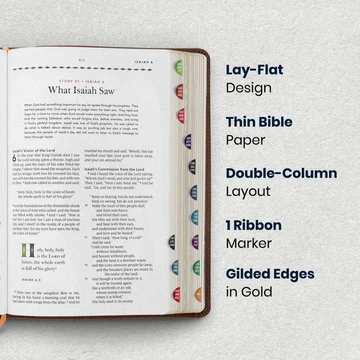 Custom Personalized Church Bible ESV The Biggest Story Bible Medium Print | Brown - Shepherds Shelf