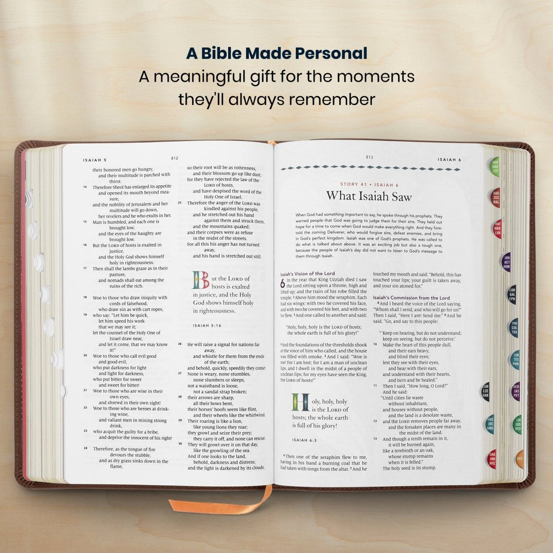 Custom Personalized Church Bible ESV The Biggest Story Bible Medium Print | Brown - Shepherds Shelf