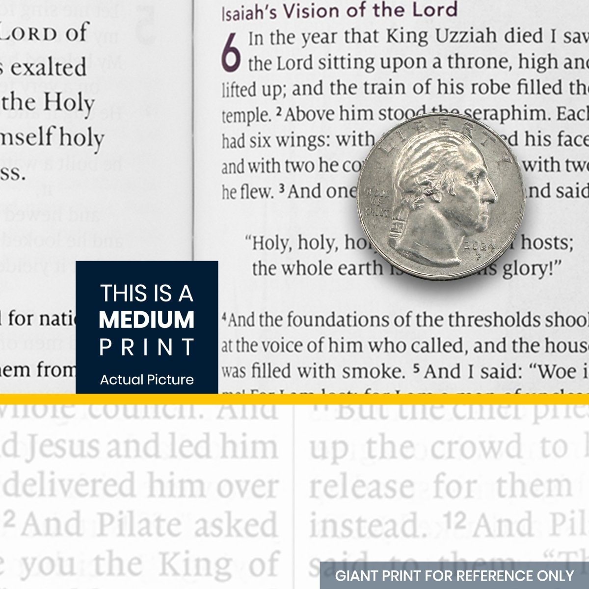 Custom Personalized Church Bible ESV The Biggest Story Bible Medium Print | Teal - Shepherds Shelf