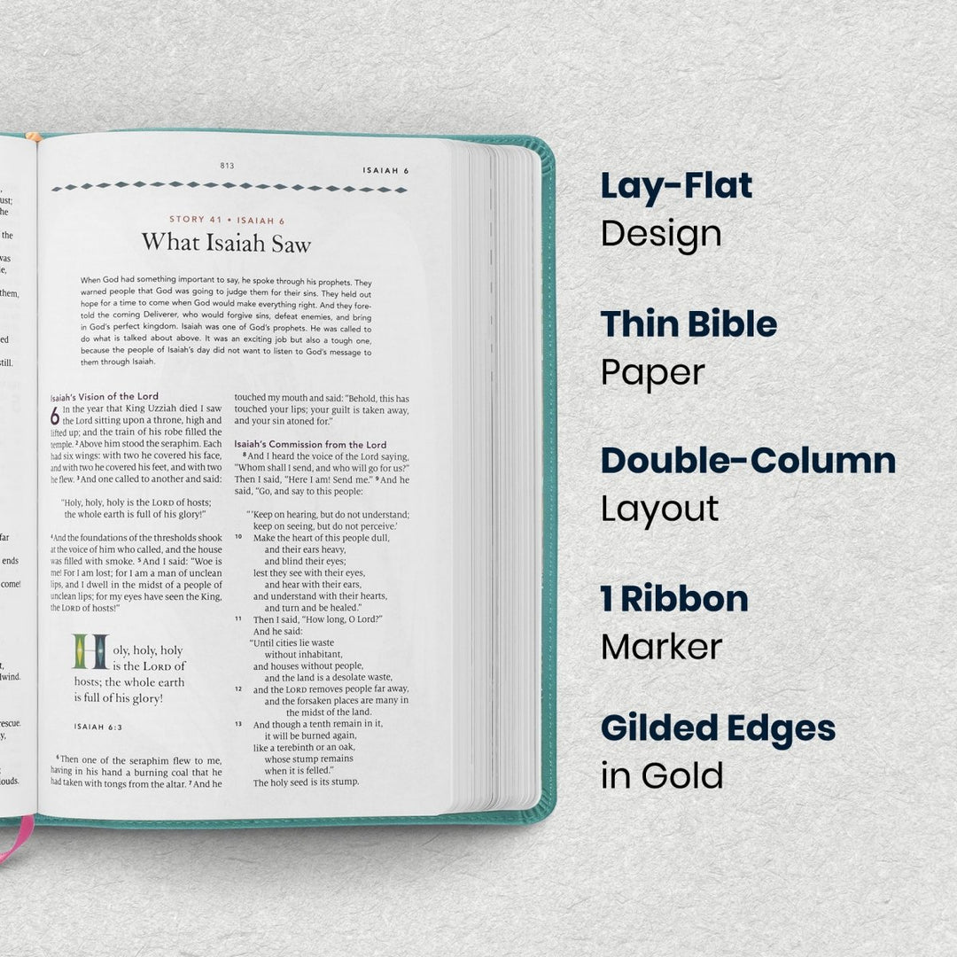 Custom Personalized Church Bible ESV The Biggest Story Bible Medium Print | Teal - Shepherds Shelf