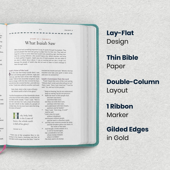 Custom Personalized Church Bible ESV The Biggest Story Bible Medium Print | Teal - Shepherds Shelf