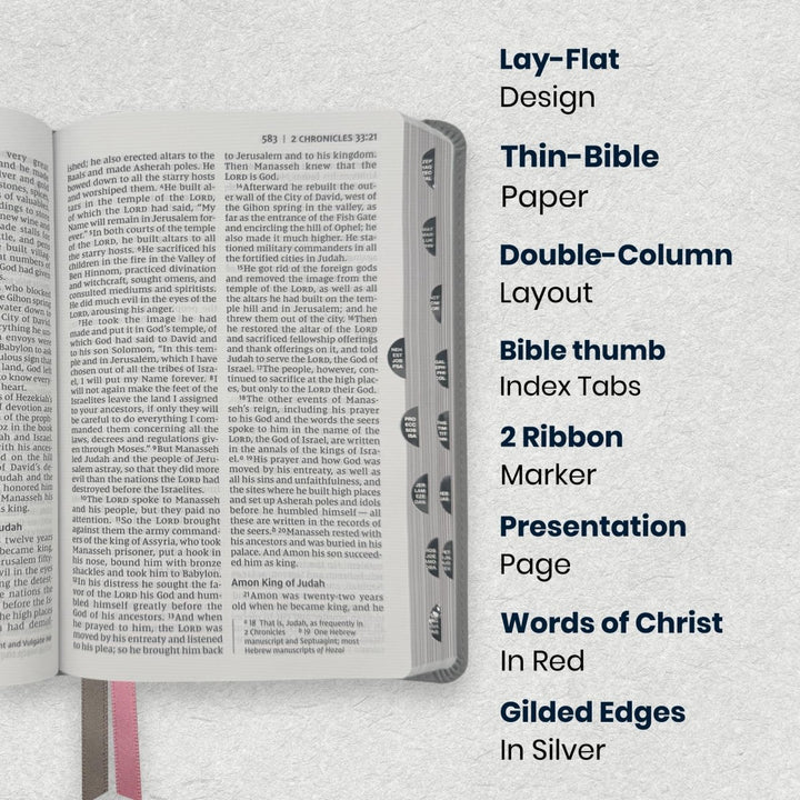 Custom Personalized Church Bible NIV Large Print | Pink - Shepherds Shelf