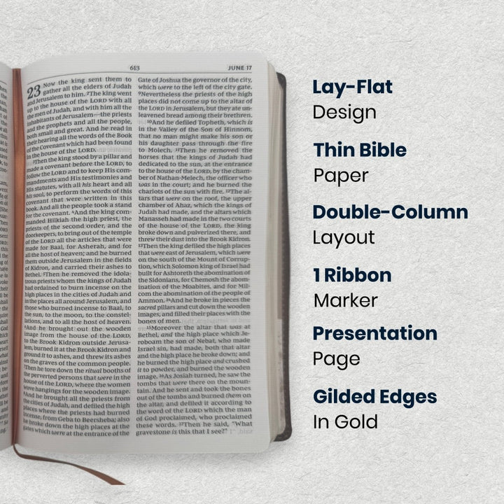 Custom Personalized Church Bible NKJV The Everyday Bible Medium Print | Brown - Shepherds Shelf
