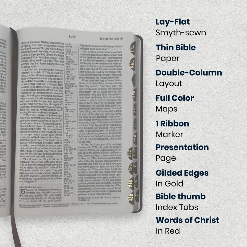 Custom NLT Large Print Center-Column Reference Bible in Faux Leather Brown | Christian Gift for Bible Study