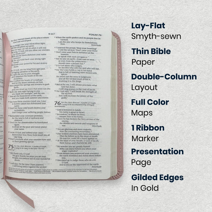 Custom Personalized Church Bible NLT Thinline Bible Extra Small Print | Pink - Shepherds Shelf