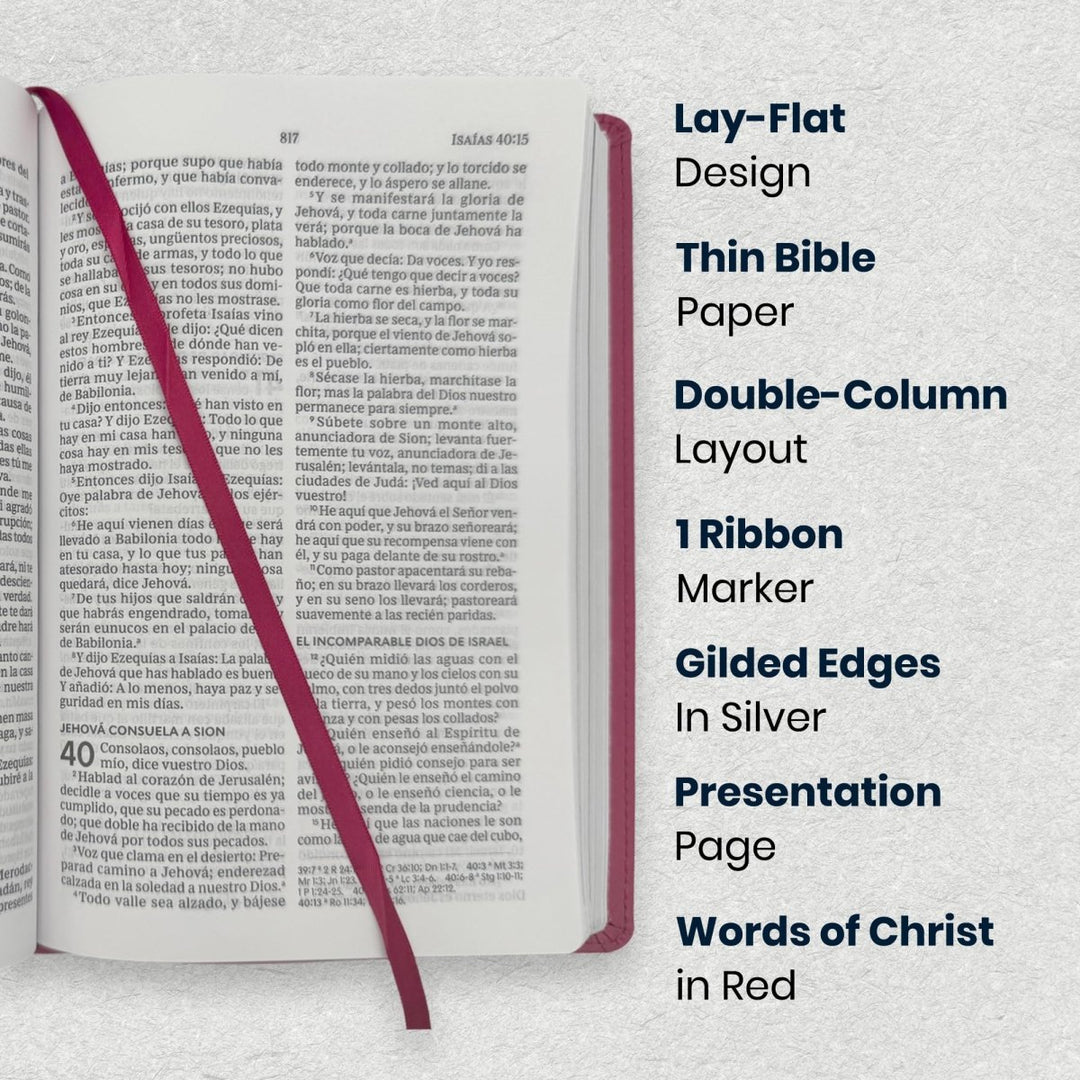 Custom Personalized Church Bible RVR60 Busy Mom's Bible Medium Print | Pink - Shepherds Shelf