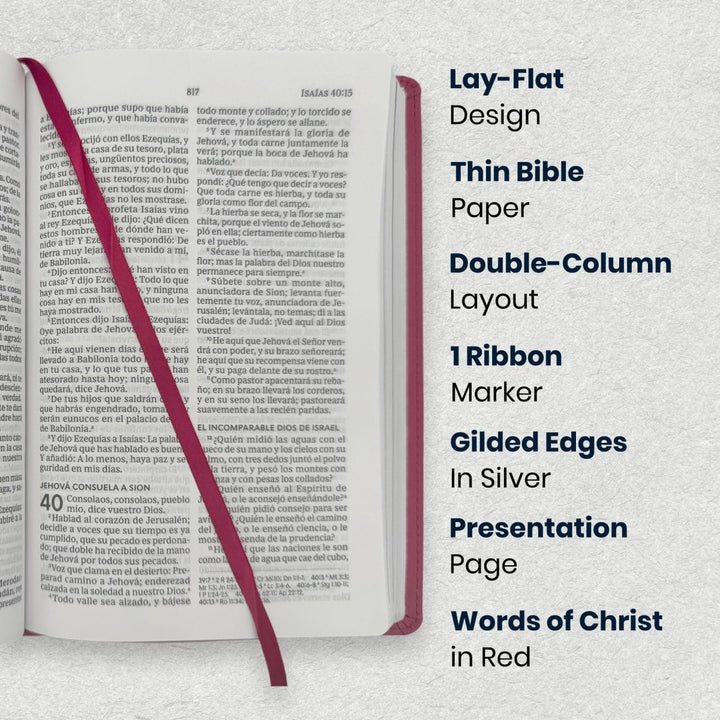 Custom Personalized Church Bible RVR60 Busy Mom's Bible Medium Print | Pink - Shepherds Shelf