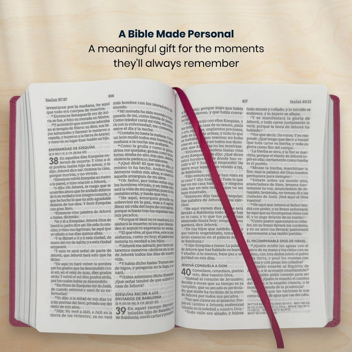 Custom Personalized Church Bible RVR60 Busy Mom's Bible Medium Print | Pink - Shepherds Shelf