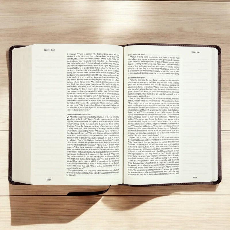 ESV Dark Brown Study Size Journaling Holy Bible Medium print