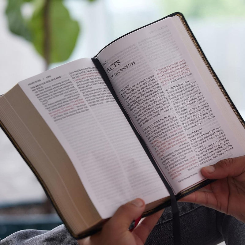 NKJV Brown Standard Size Holy Bible Large Print | Lay Flat Cross