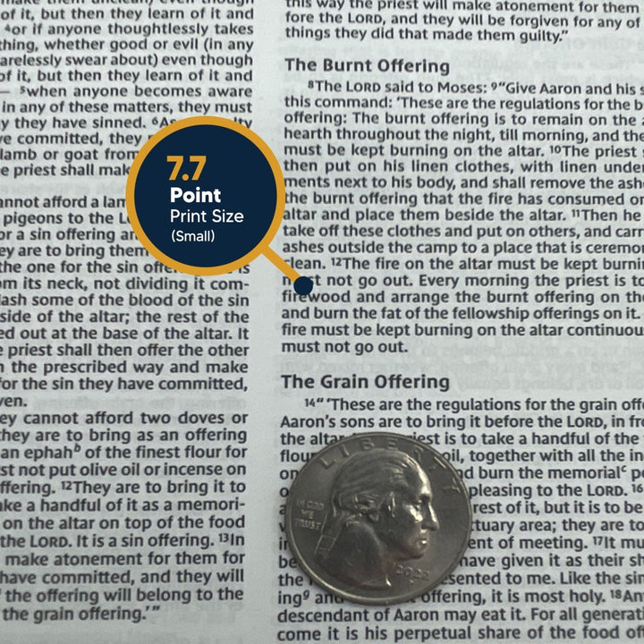 Faux Leather Pink Personalized NIV Holy Bible | Small Text - Shepherds Shelf