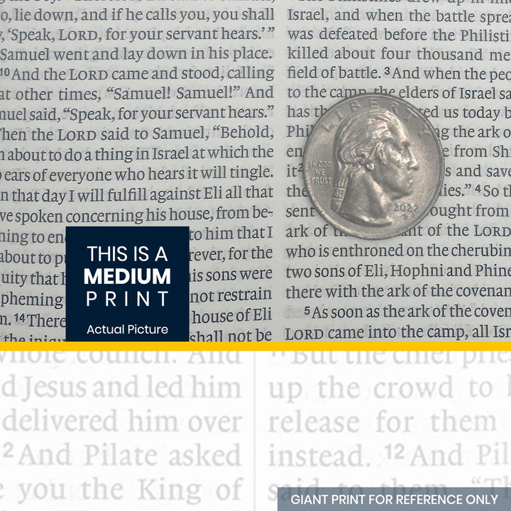 NIV Blue Standard Size Thinline Holy Bible Medium Print