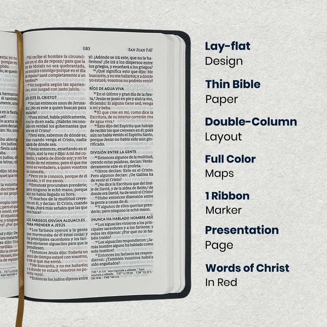 RVR1960 Black Standard Size Holy Bible Large Print
