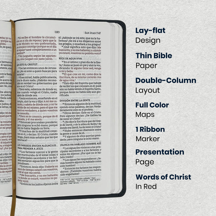 RVR1960 Black Standard Size Holy Bible Large Print