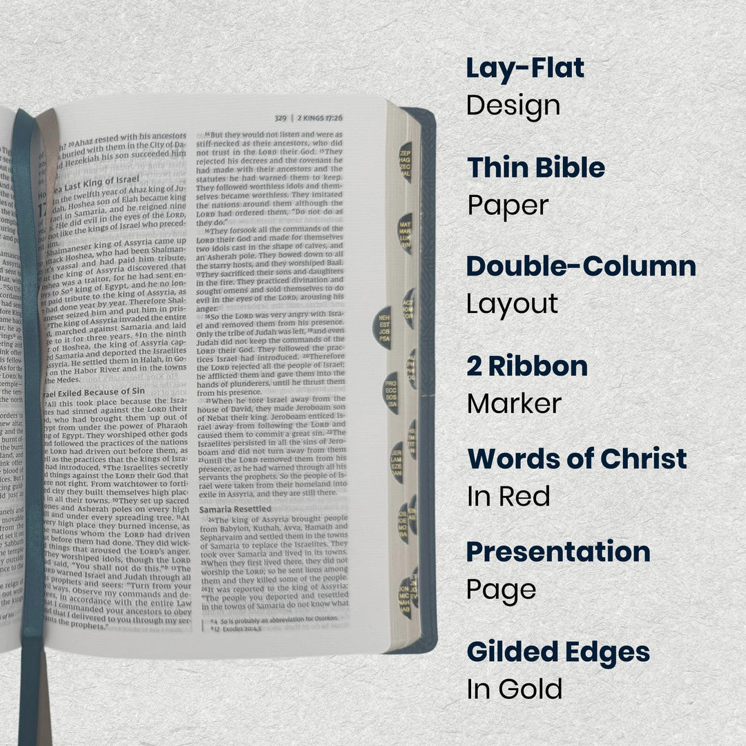NIV Blue Standard Size Thinline Holy Bible Medium Print