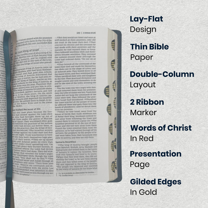 NIV Blue Standard Size Thinline Holy Bible Medium Print