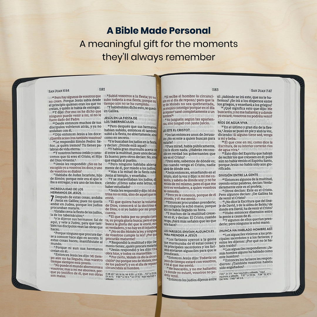 RVR1960 Black Standard Size Holy Bible Large Print